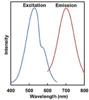 BioTracker™ Mitophagy Detection Kit | SCT263